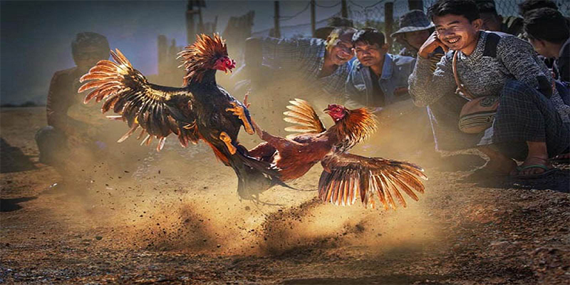 kangen k8 đăng nhập roulette số 1