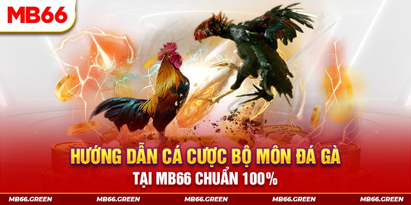 kangen k8 xổ số bình định