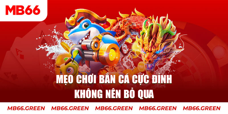 kangen k8 casino ở đâu