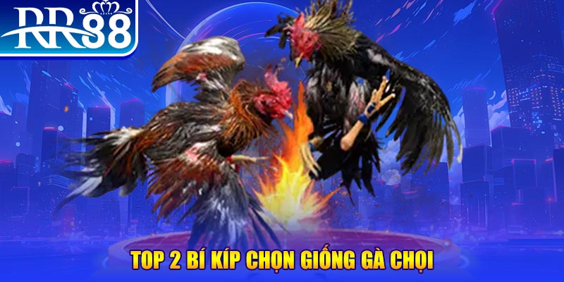 kangen k8 đăng nhập roulette dễ thắng