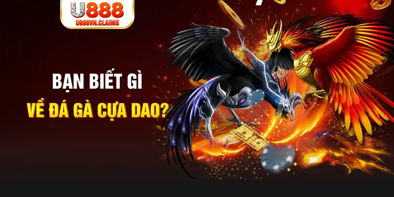 kangen k8 xổ số kiến thiết