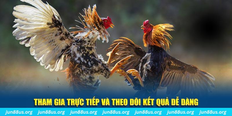 kangen k8 đá gà trực tiếp bình luận viên
