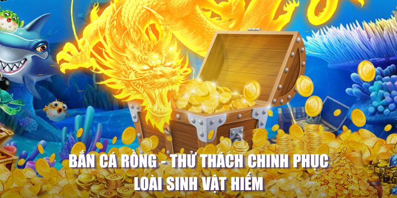 kangen k8 MW Điện Tử