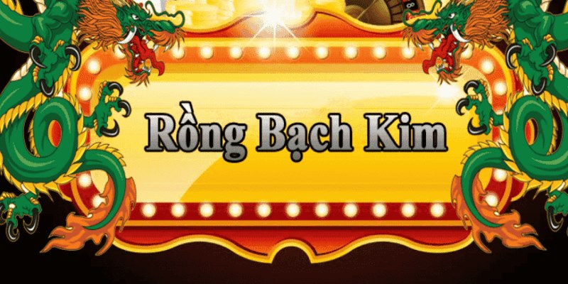 kangen k8 đăng nhập roulette 2025