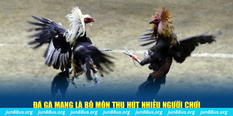 kangen k8 xổ số cà mau