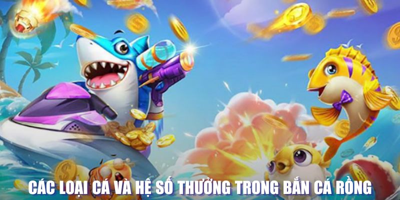 kangen k8 loi game dot kich ket noi may chu that bai
