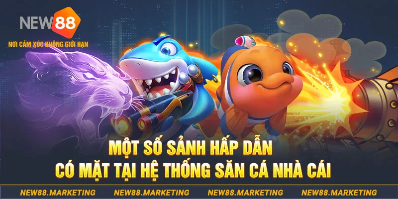 kangen k8 đăng nhập sòng bạc 2025