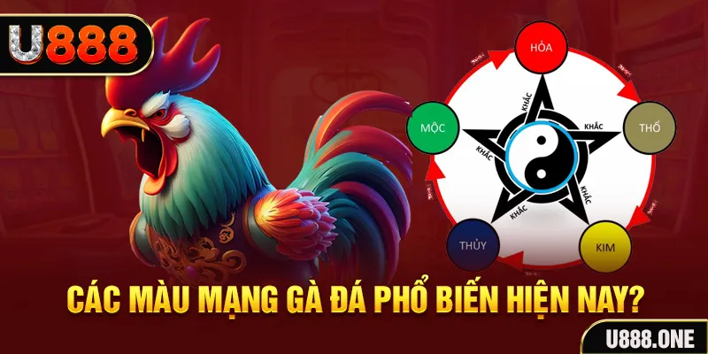 kangen k8 đăng nhập mậu binh