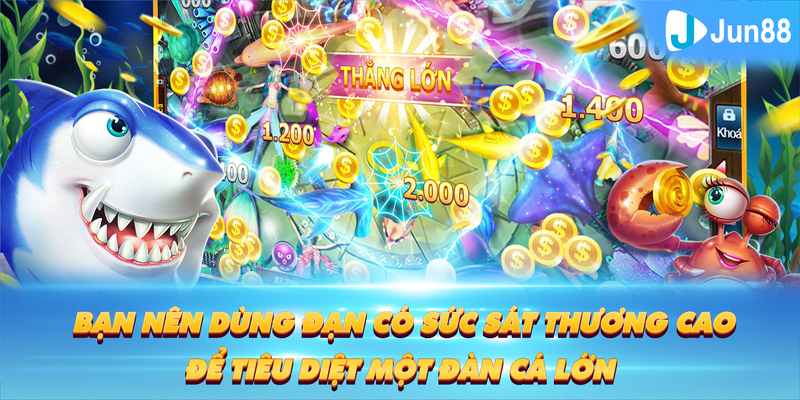 kangen k8 Tung Đồng Xu