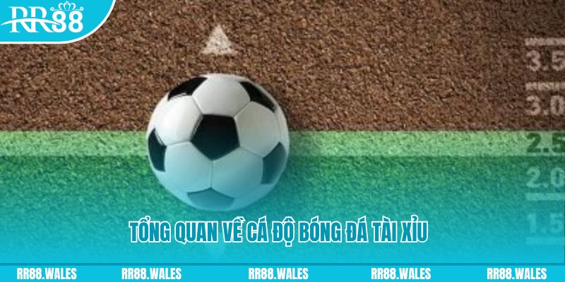kangen k8 đăng nhập lô đề online