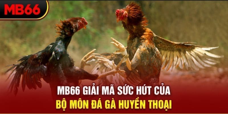 kangen k8 Phi Đội Ưu Tú