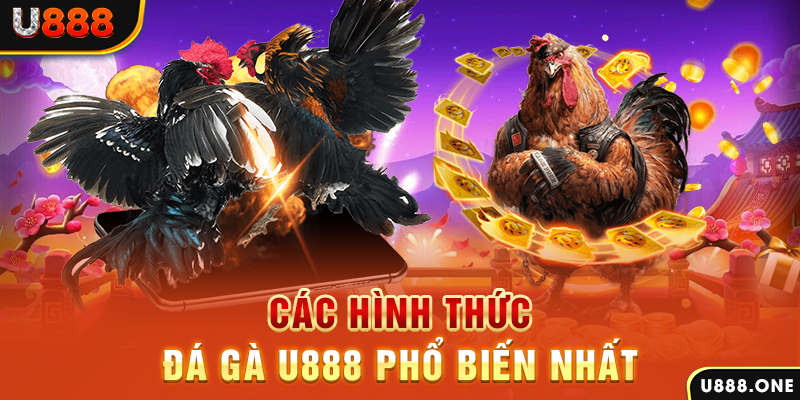 kangen k8 DB Trực Tuyến