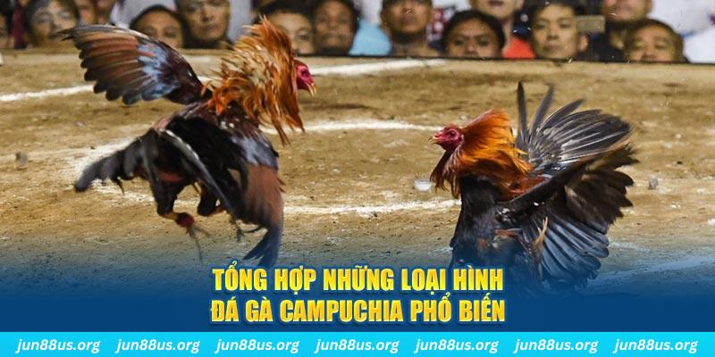 kangen k8 ON Trực Tuyến