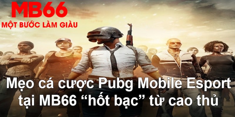 kangen k8 gà chọi mộc hóa