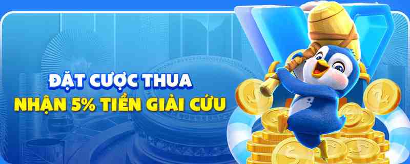 kangen k8 gà chọi cu cần