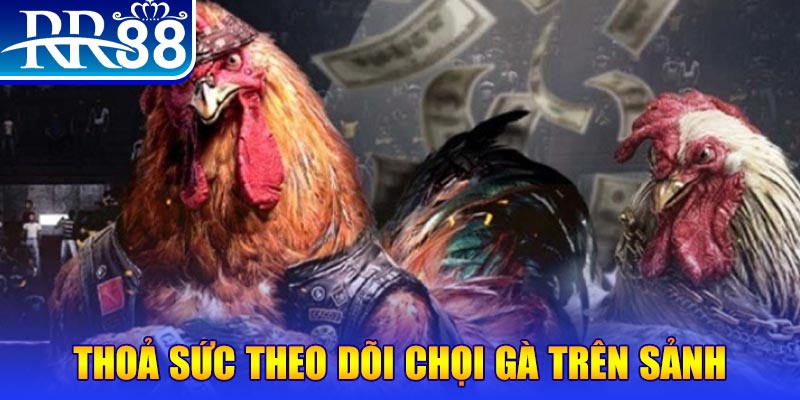 kangen k8 đá gà 88.com