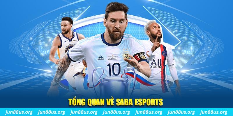 kangen k8 gà chọi c1 tv trực tiếp hôm nay